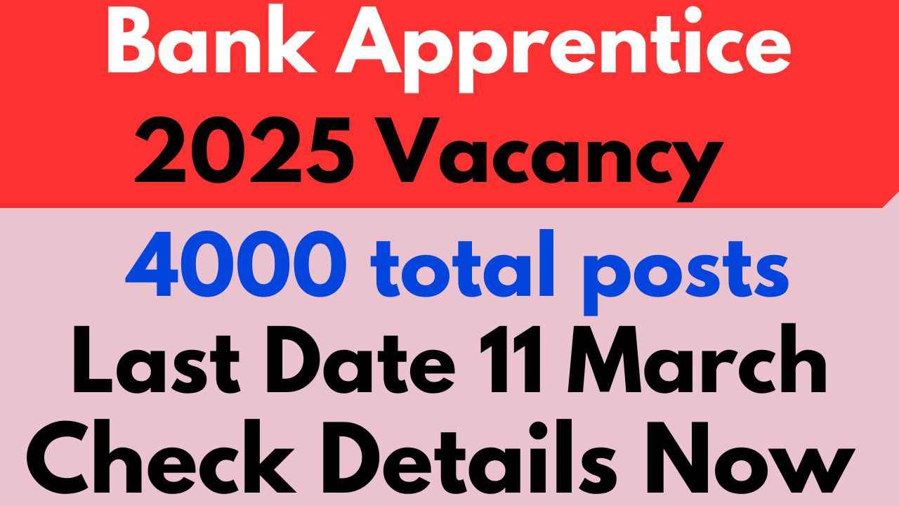 Bank of Baroda Apprentice Vacancy